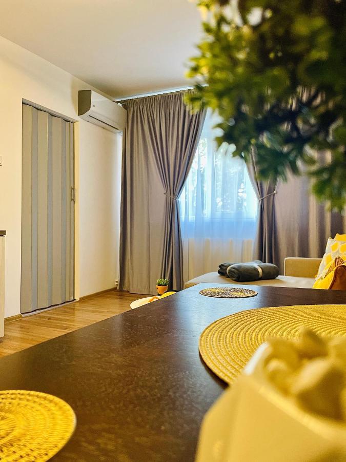 S&s Studio At Ground Floor Town !!! Parcare La Locatie !! Appartement Timişoara
