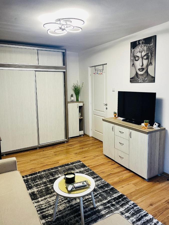 Appartement S&s Studio At Ground Floor Town !!! Parcare La Locatie !!