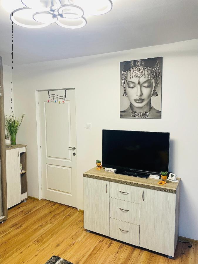 S&s Studio At Ground Floor Town !!! Parcare La Locatie !! Timişoara