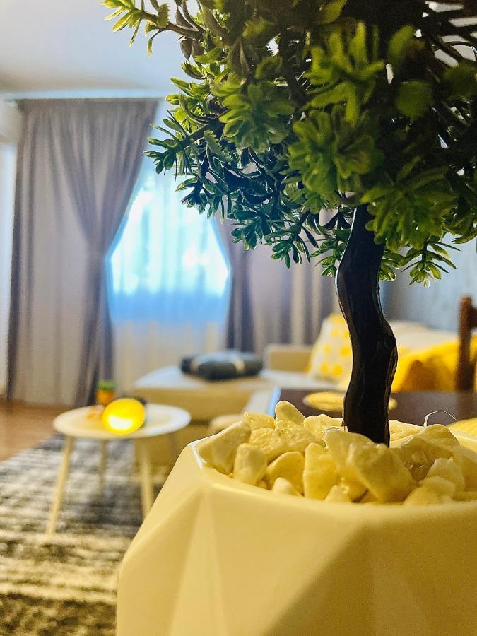 S&s Studio At Ground Floor Town !!! Parcare La Locatie !! Apartament *