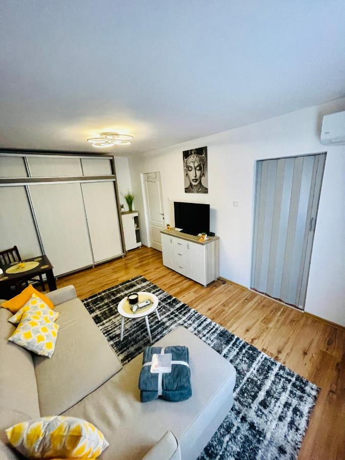 S&s Studio At Ground Floor Town !!! Parcare La Locatie !! * Timişoara