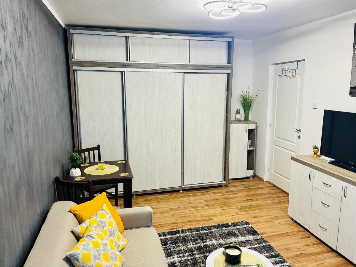 S&s Studio At Ground Floor Town !!! Parcare La Locatie !! * Timişoara