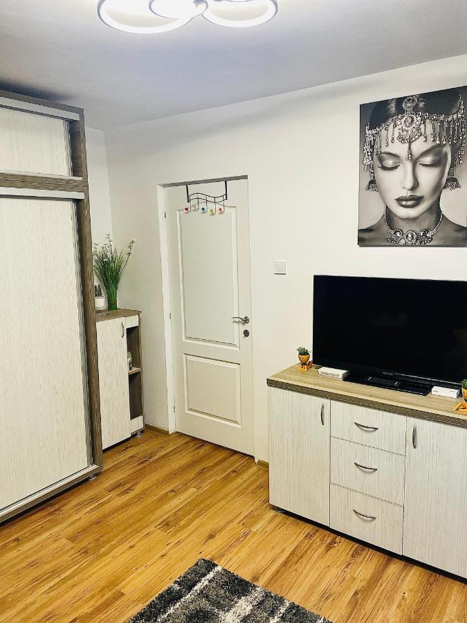 S&s Studio At Ground Floor Town !!! Parcare La Locatie !! Timişoara