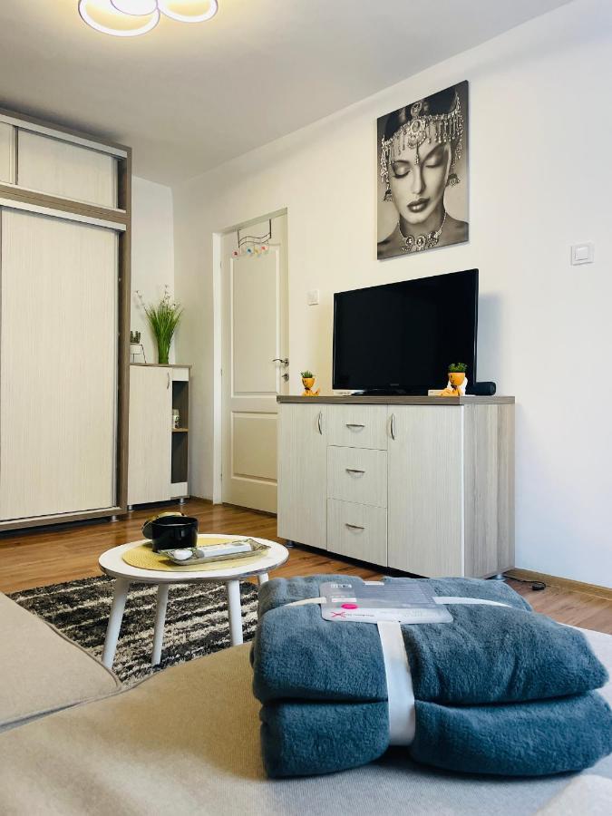 Apartament S&s Studio At Ground Floor Town !!! Parcare La Locatie !! Timişoara