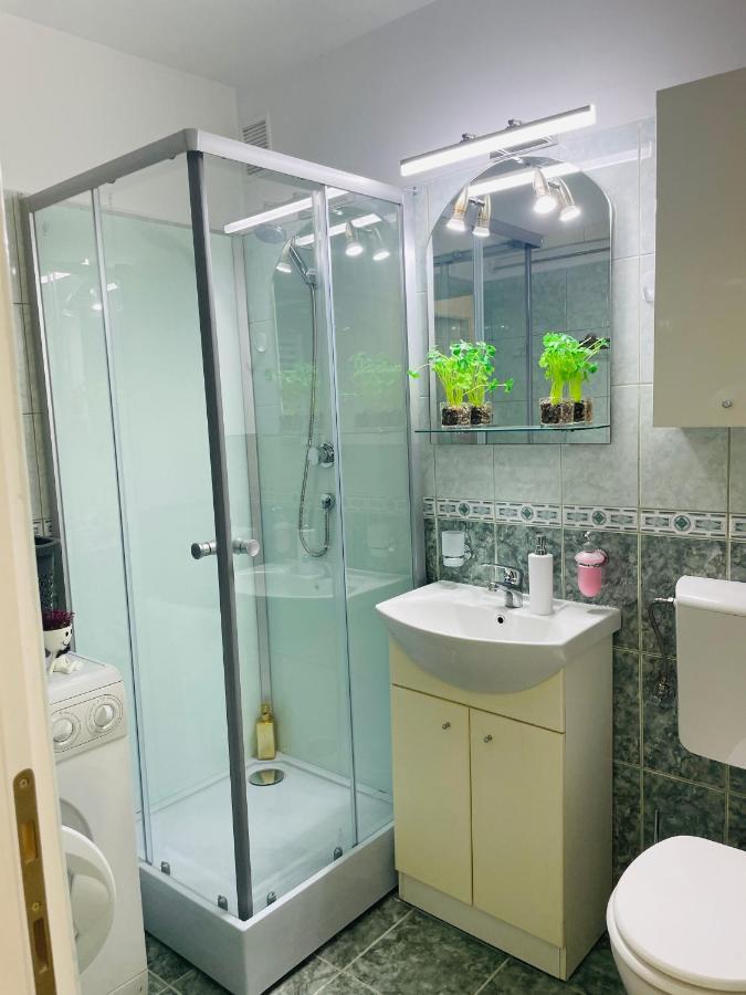 Apartament S&s Studio At Ground Floor Town !!! Parcare La Locatie !! Timişoara